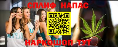 индика Пушкино